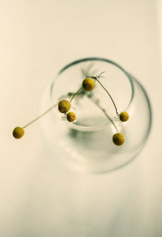 весеннееphoto preview