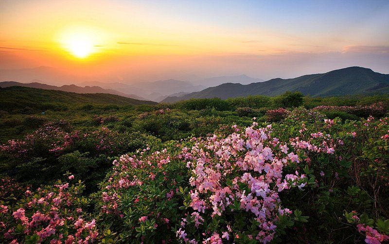 Sundownphoto preview