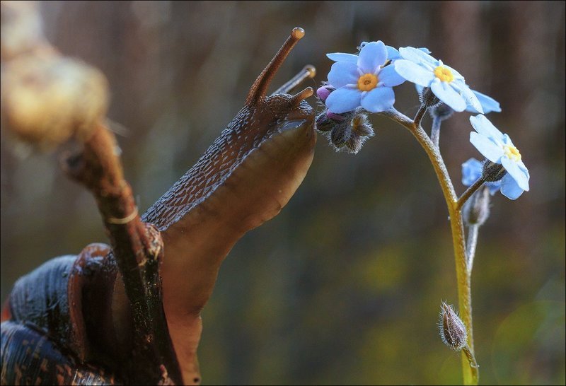 Парфюмерphoto preview