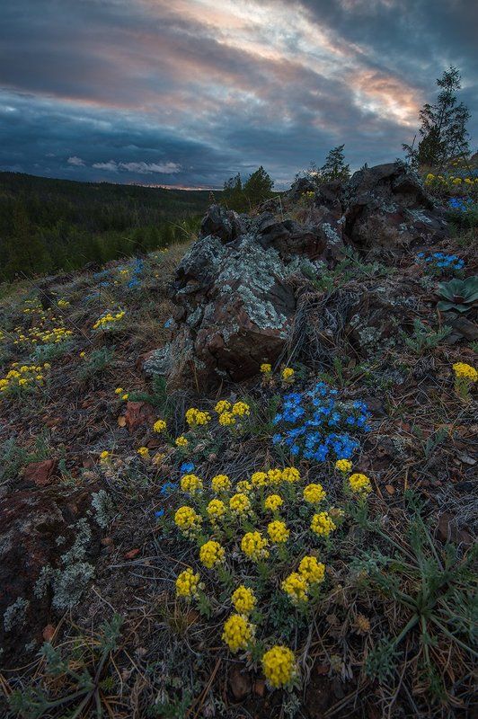 В двух шагах от летаphoto preview