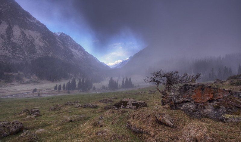 Буря мглою небо кроетphoto preview