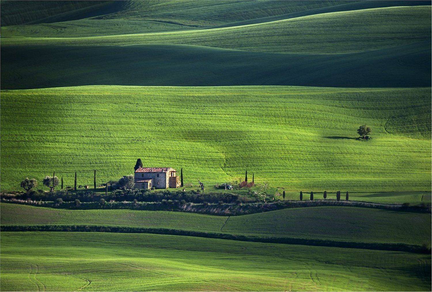 A world in green. Автор: Danny Vangenechten , Danny Vangenechten