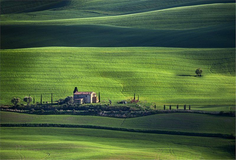 A world in green фото превью