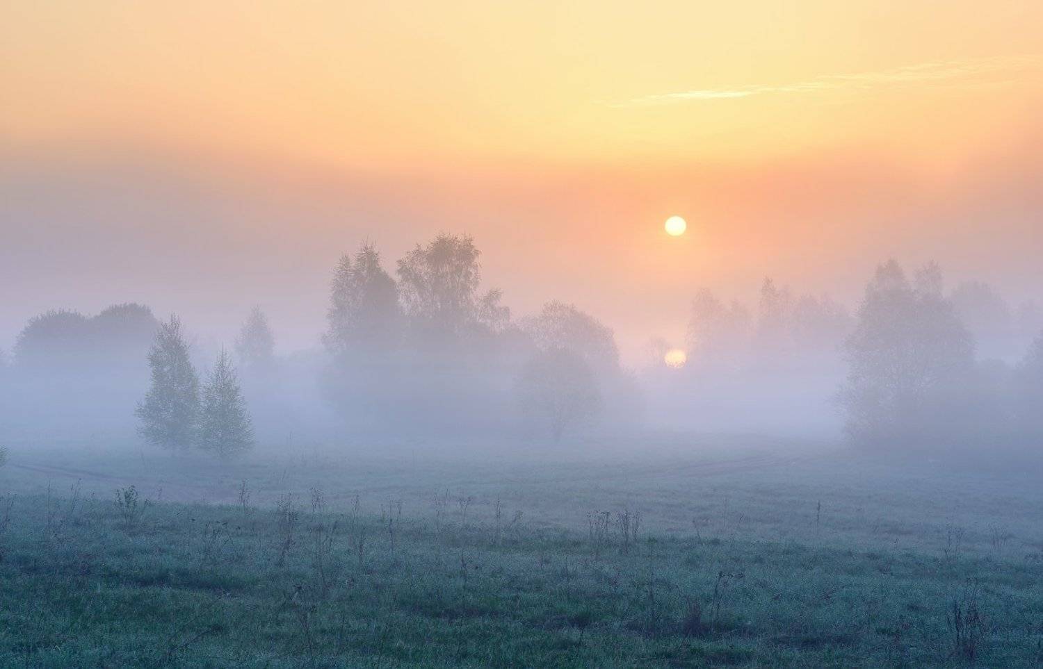 ***. Автор: Максим Евдокимов , Максим Евдокимов