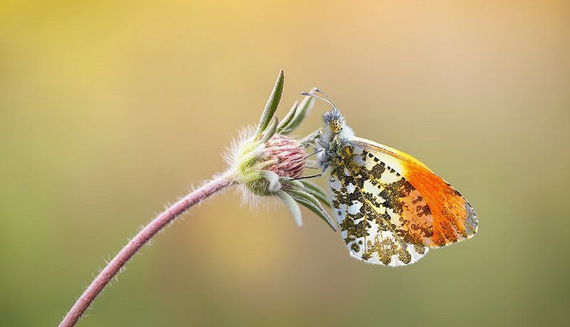 Lonely and peacefulphoto preview