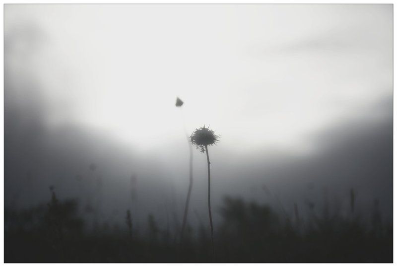 Alone, Bw, Gray Grayphoto preview