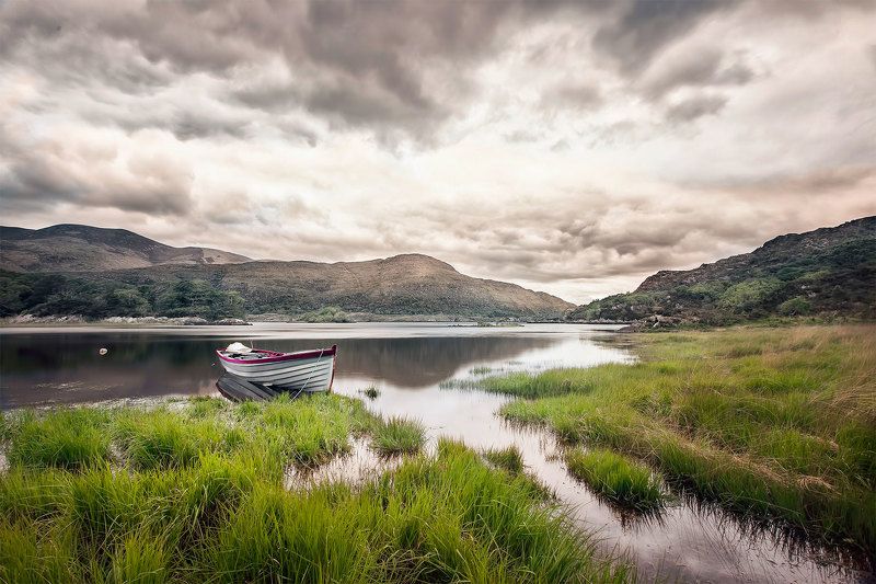 Taste of Irelandphoto preview