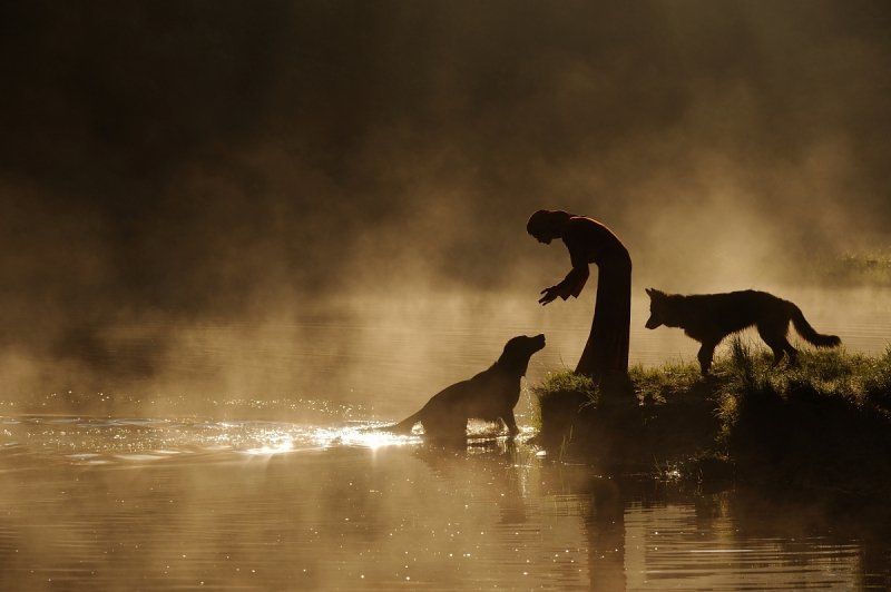 invitation to lifephoto preview