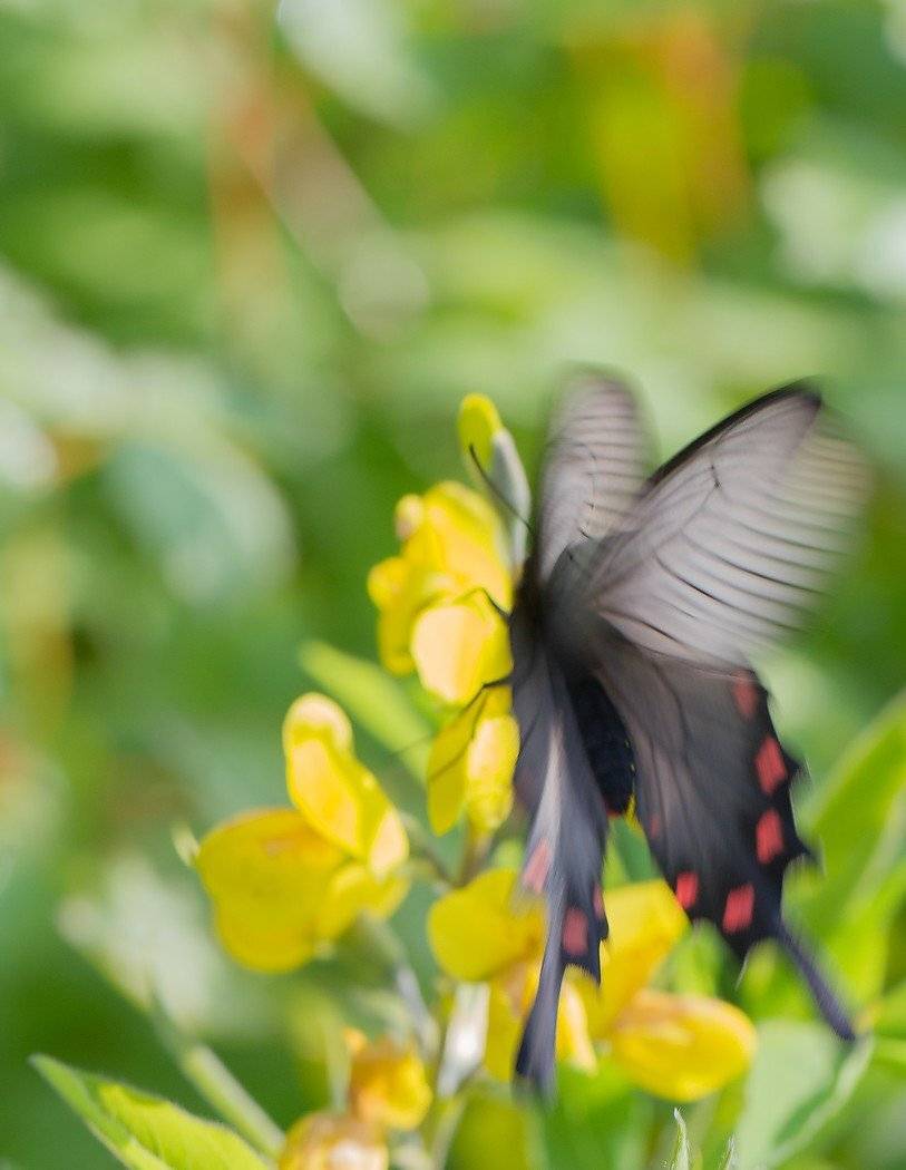 , Евгений Слободской