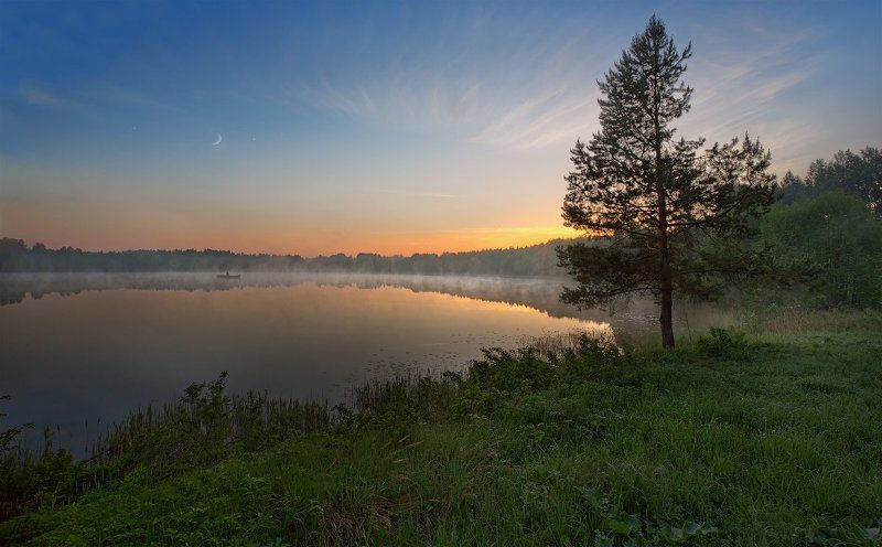 Светлоярphoto preview