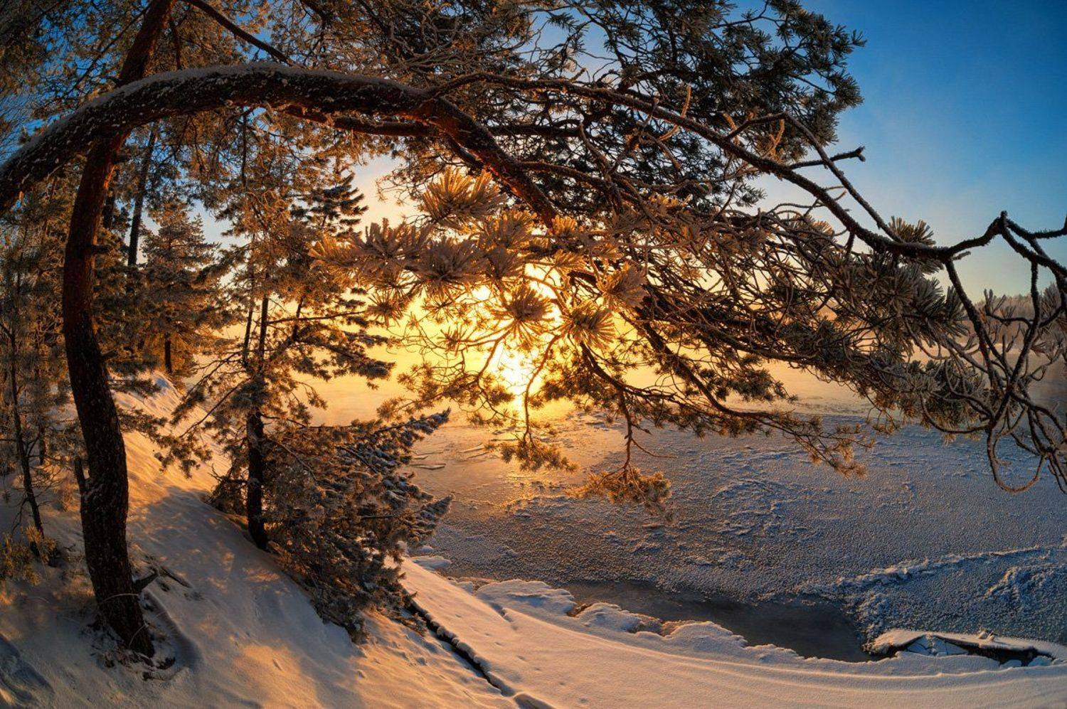 , Евгений Плетнев