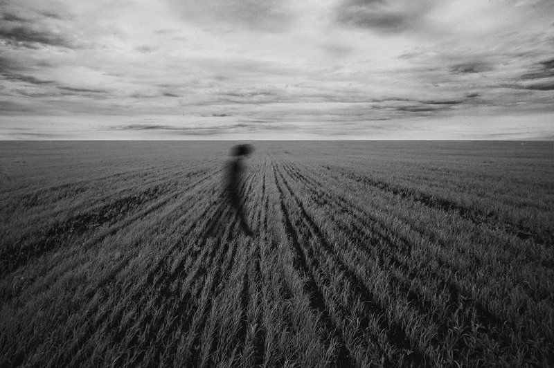 Ambient, B&w, Black & white, Field, Shadow, Soul, Walking, Душа, Настроение, Окружение, Поле, Прогулка, Тень, Черно-белое photo preview