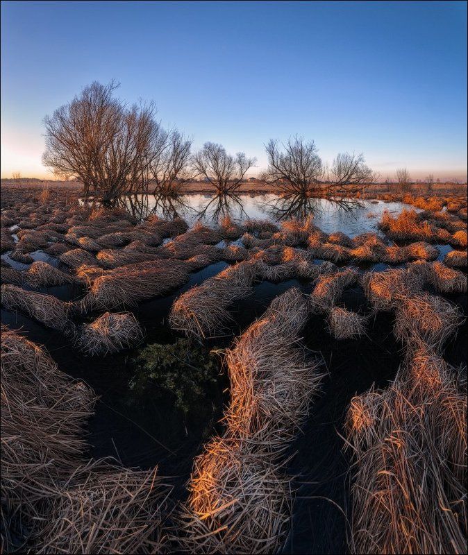 Кочки, Подмосковье, Пруд Затонувшие кочкиphoto preview