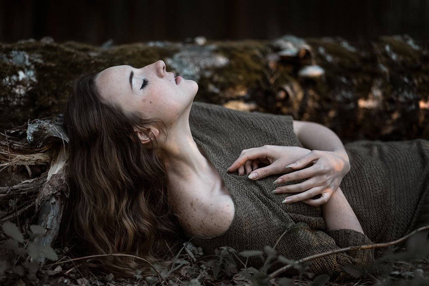 In colors of the forest. Автор: Анастасия Кузнецова , Анастасия Кузнецова