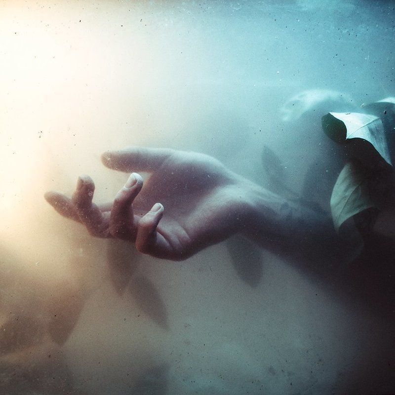 ▷┏◪шnphoto preview