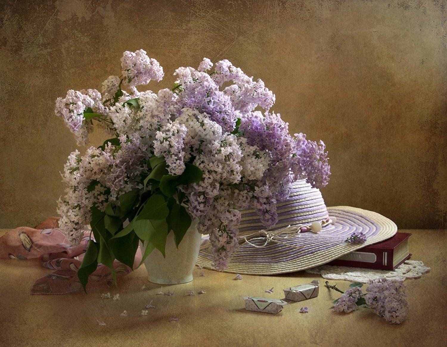 сирень, Elena Lo