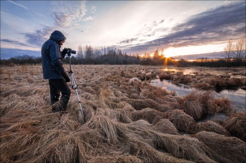 Кочки, Подмосковье, Рассвет, Солнце Кто рано встает..тому и красота восходаphoto preview