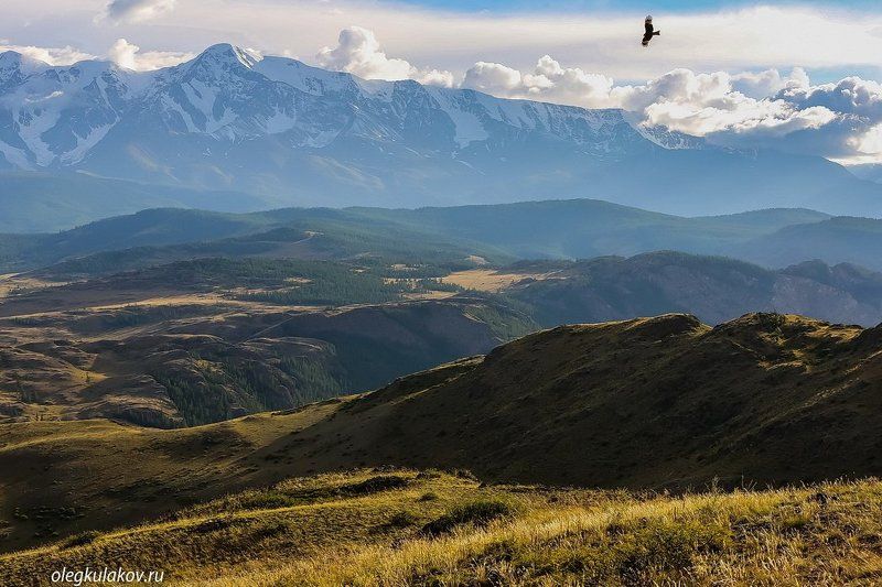 /\\/\\/\\photo preview