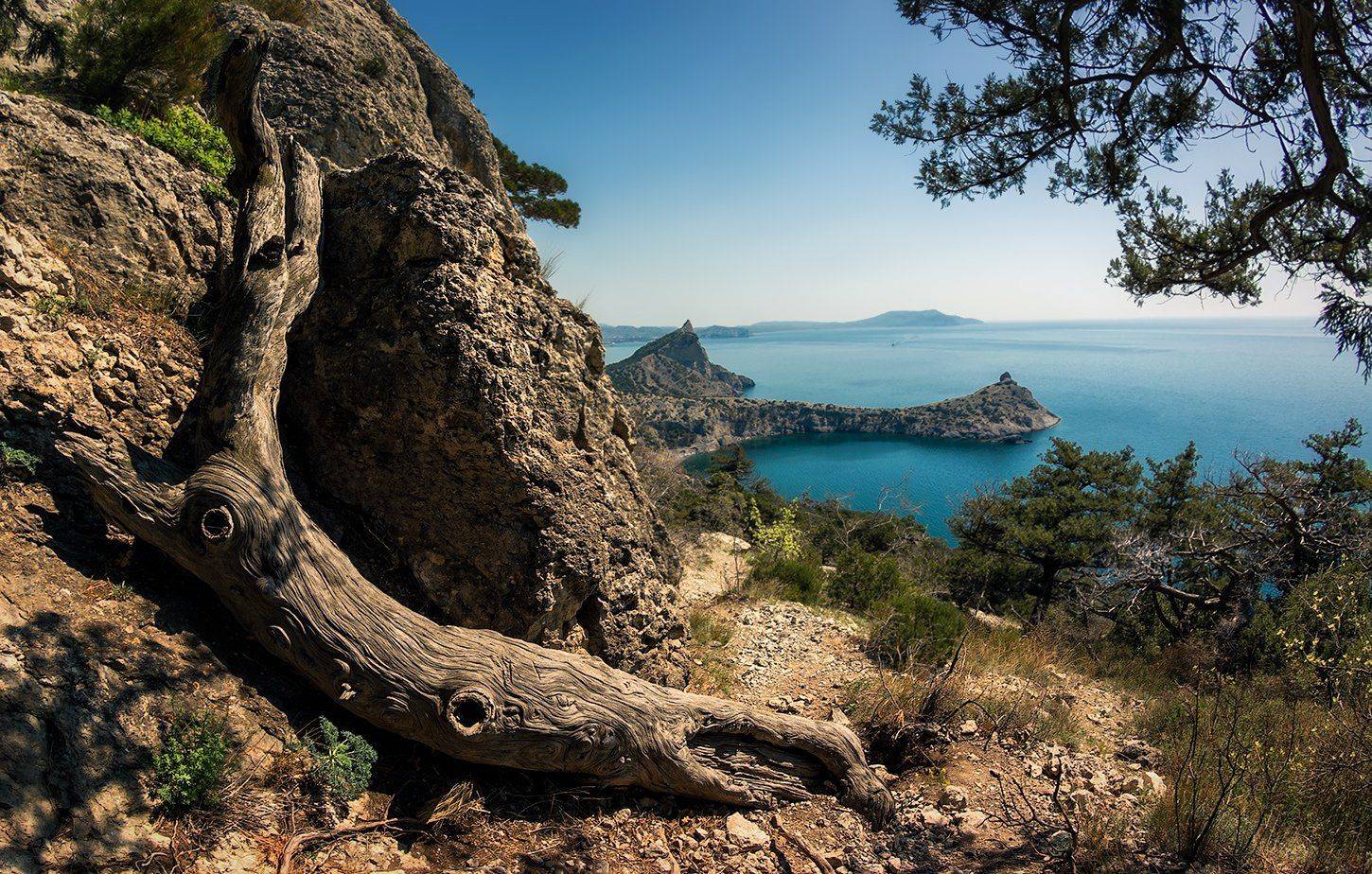 , Игорь Мелекесцев