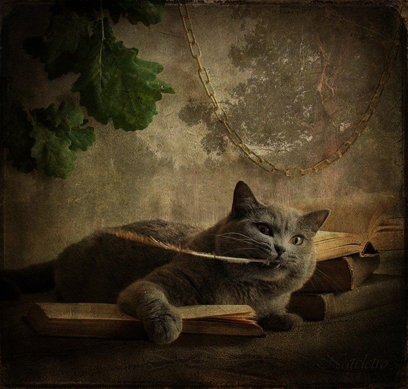 Читая сказки Пушкинаphoto preview