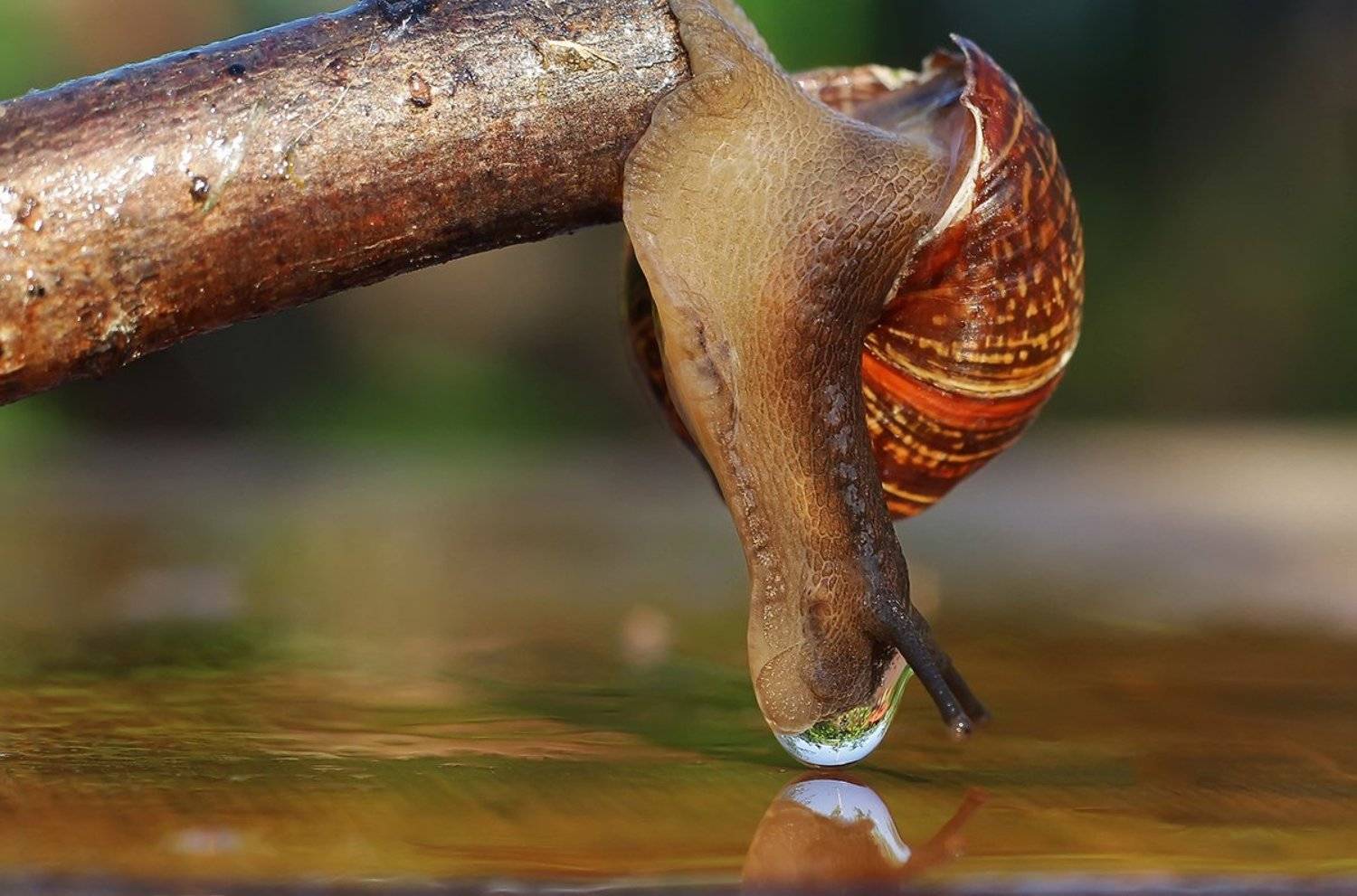 , Аркадий Белов