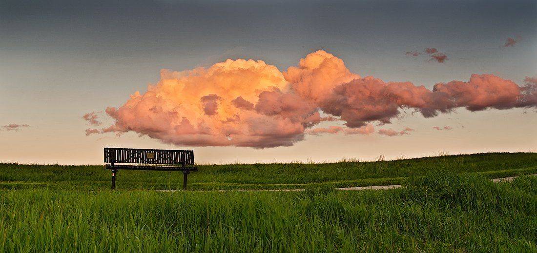 Evening scene. Автор: Михаил Landscape, Nature, Summer, Михаил