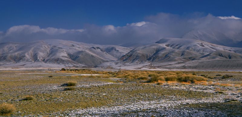 Altai mountains, Central Asia region, Morning in the mountains, Prairie, Zentralasien, Горный алтай, Горы, Урочище Тотугем, Утро в горах, Чуйская степь Утро в урочище Тотугемphoto preview