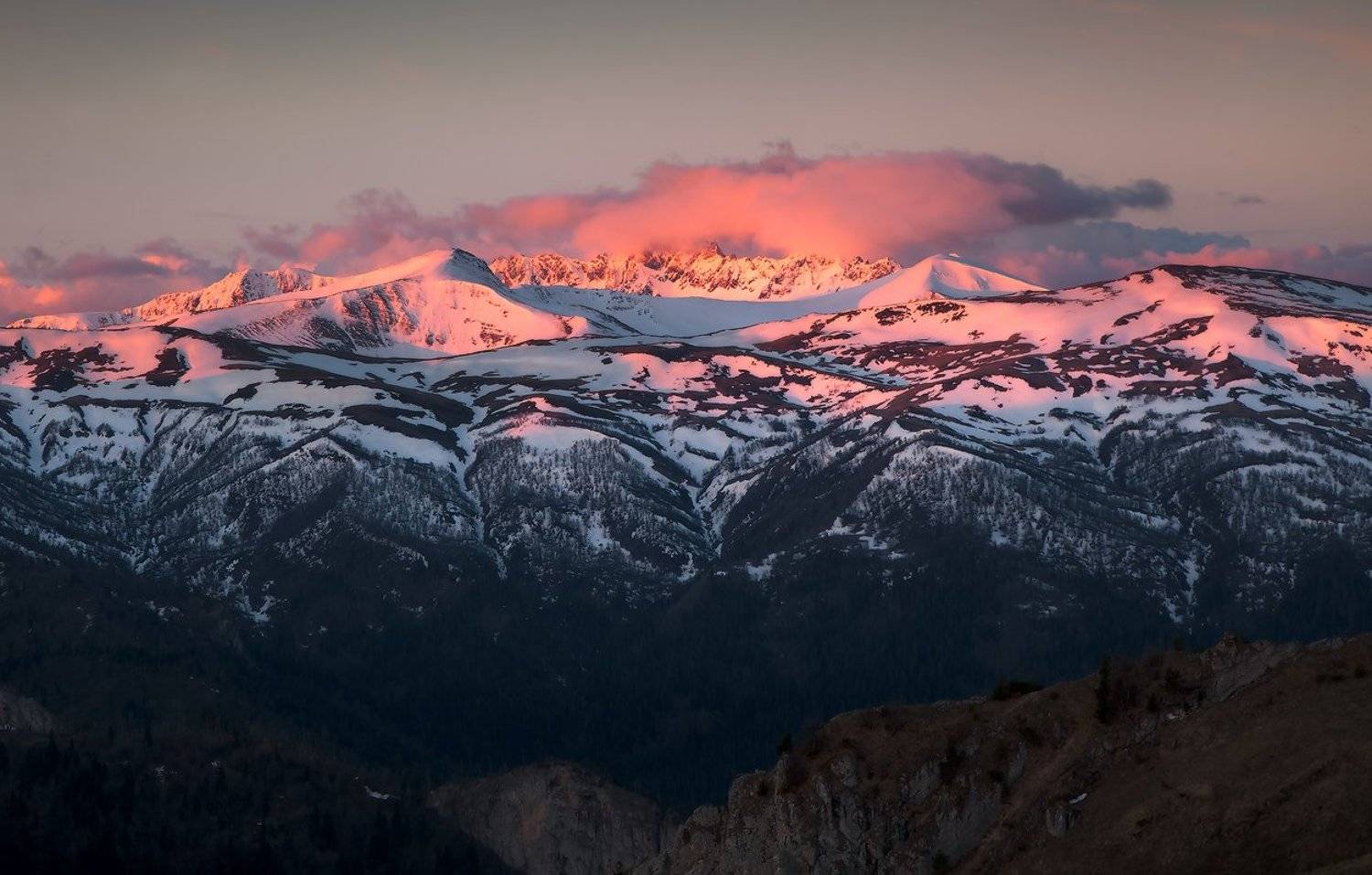 Тхачи, Ирина Заграничная