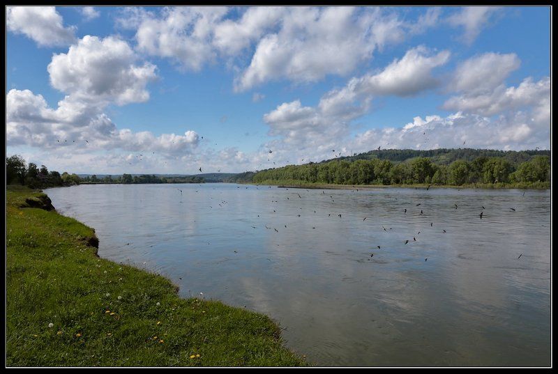 К дождю...photo preview