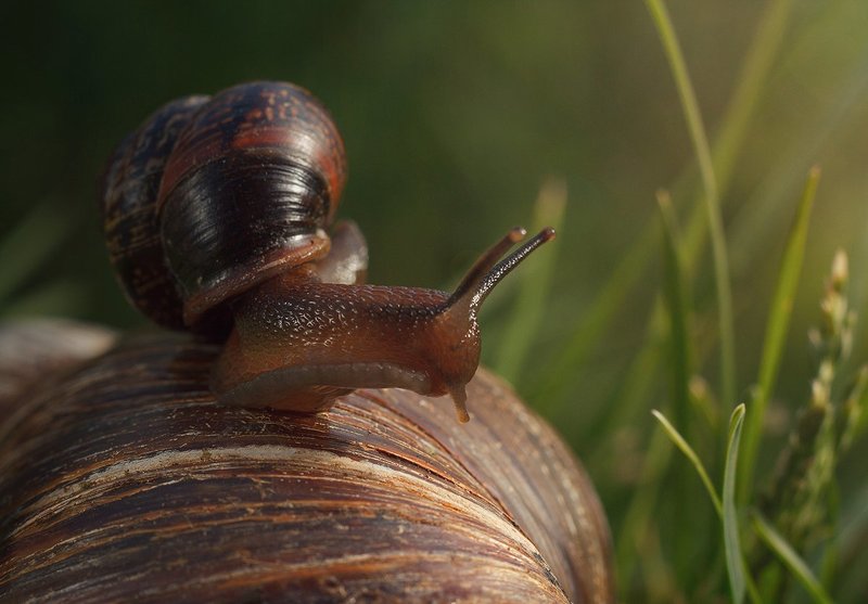 Битый небитого везетphoto preview