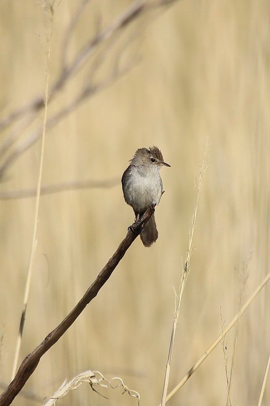 Прогулка вдоль протока Илиphoto preview