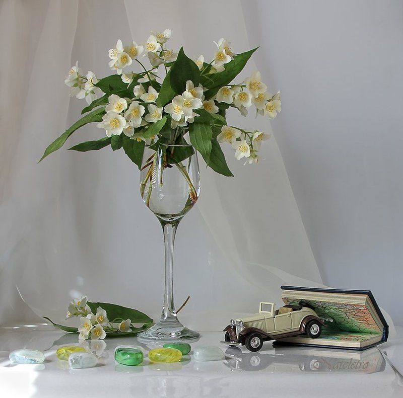 Белый романс...photo preview