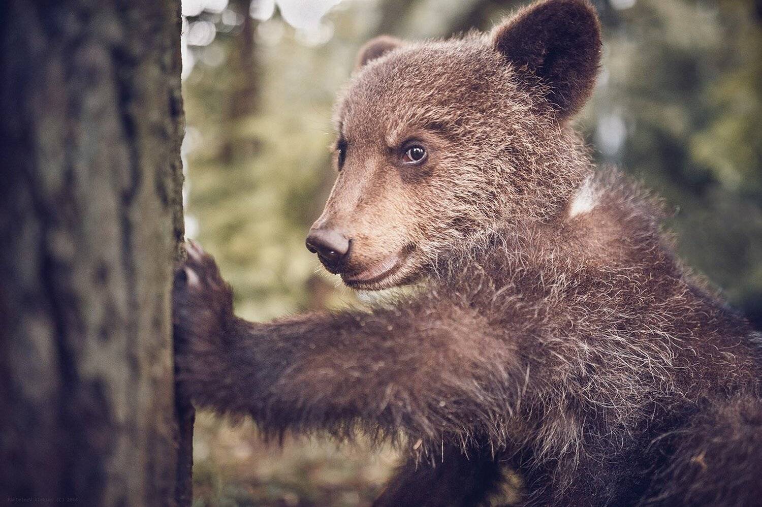 Ты заходи, если чё... Автор: Пантелеев Алексей , Пантелеев Алексей