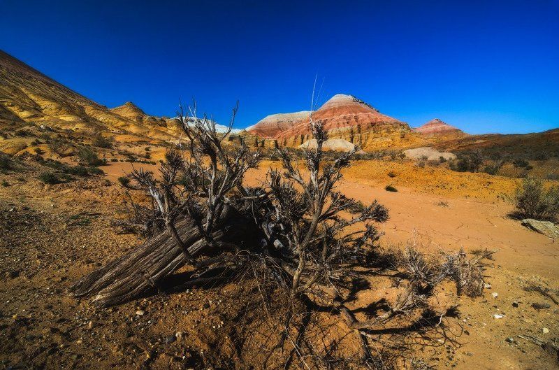 Автопутешествие по Юго-Восточному Казахстану или миссия на Марс - часть третья. ( Национальный парк Алтын Эмель, меловые горы Актау)photo preview