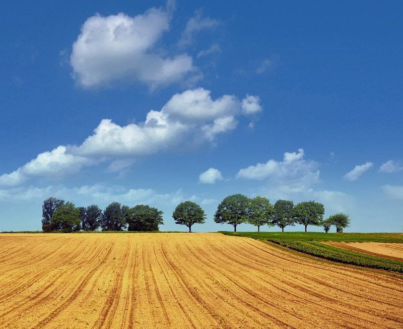 Весенняя пашняphoto preview