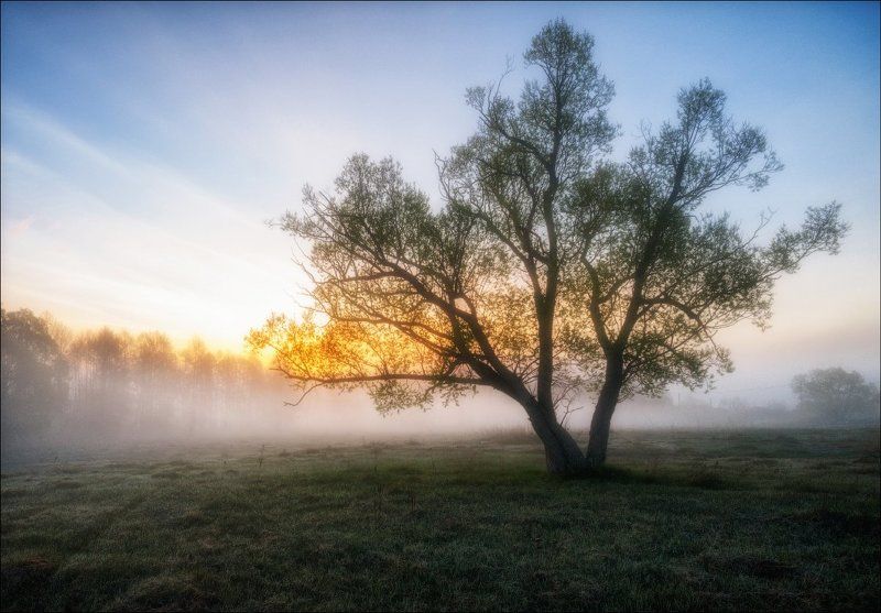 Подмосковье, Рассвет, Туман В погоне за туманомphoto preview
