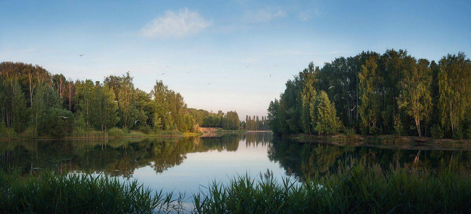 с чайками). Автор: Сергей Хромов вечер, озеро, чайки, Сергей Хромов
