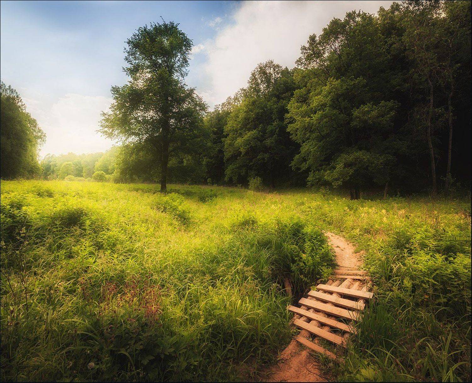 , Минаев Павел