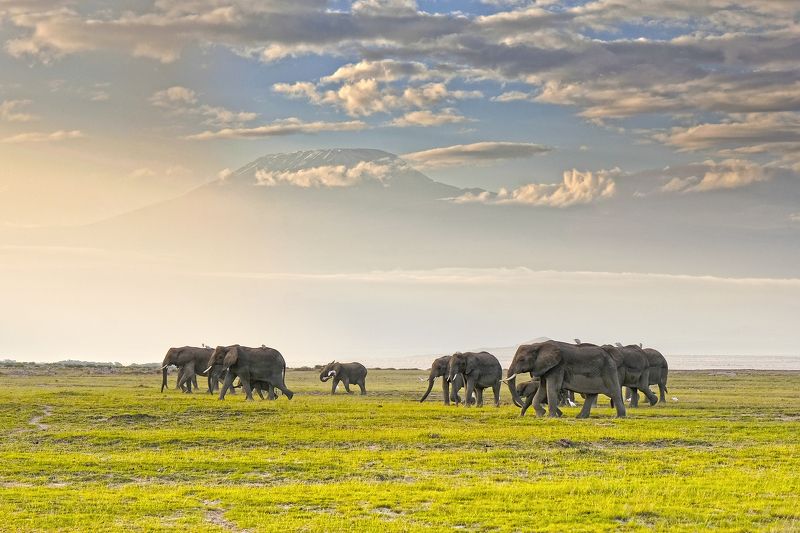 Kili&friendsphoto preview