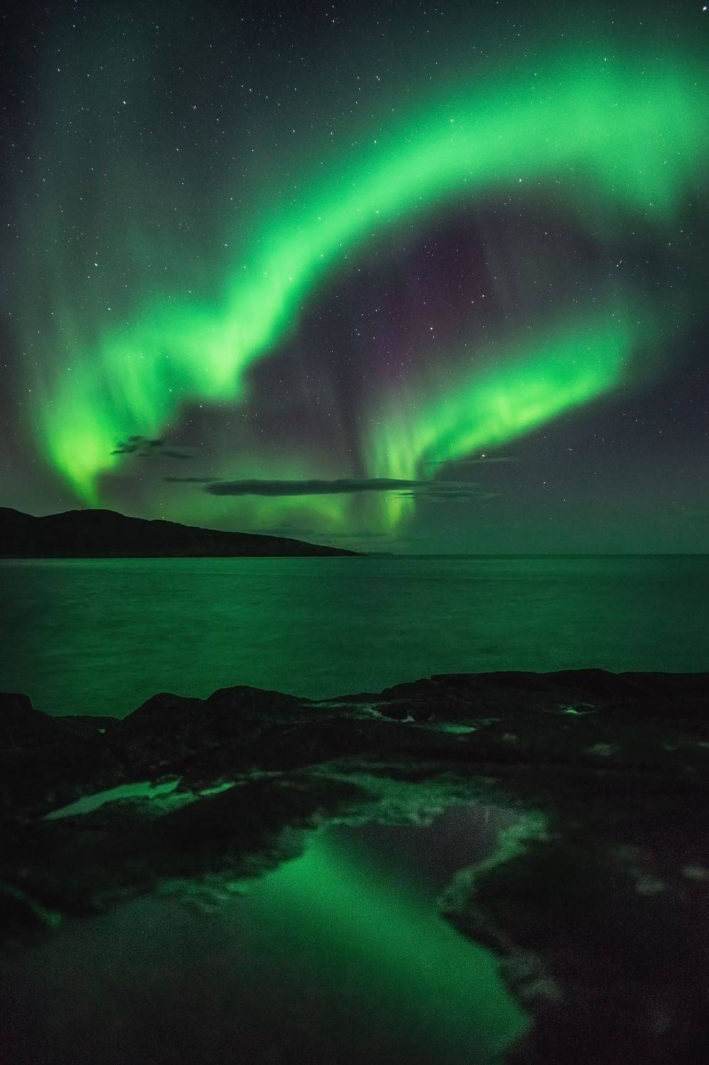 Автор: Алексей Козаченко , Алексей Козаченко