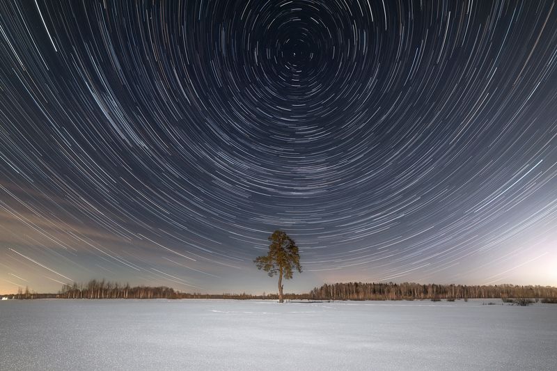ночь звезды звездные треки ночное небо зима снег сосна лунный свет Звёздный танец над одинокой соснойphoto preview