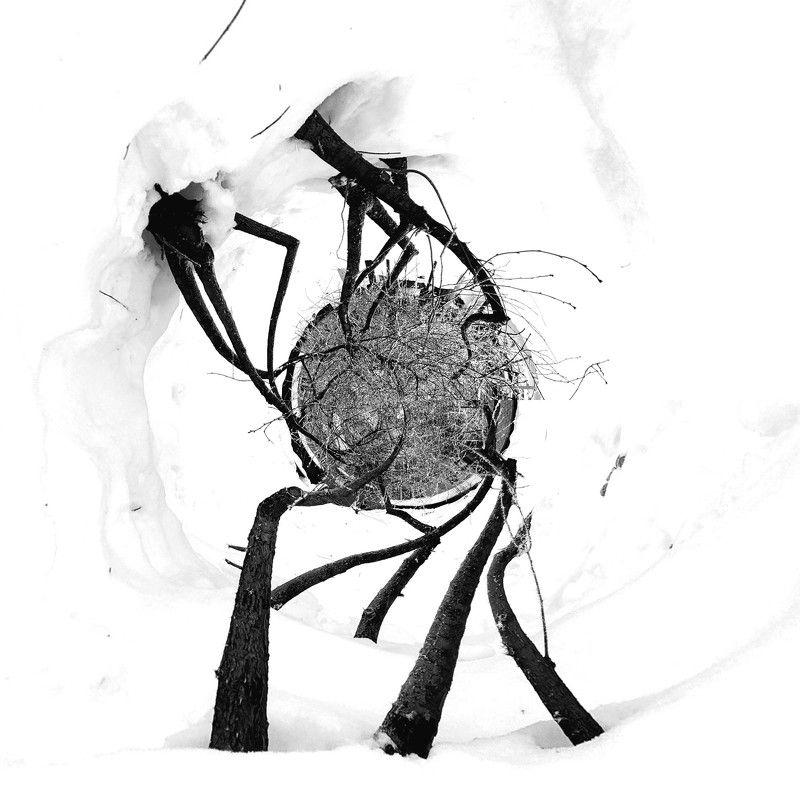 abstraction, b&w, snow, concept, абстракция, ч/б, концептуальное, что-то, something, оно. Somethingphoto preview