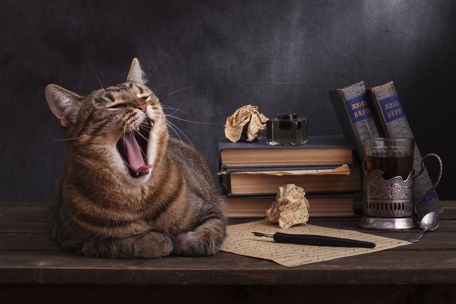 , Максим Вышарь