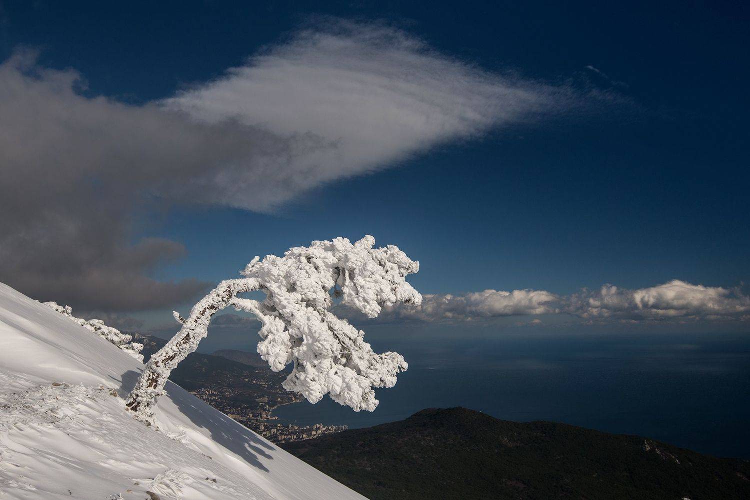 крым, Юрий Коваленко