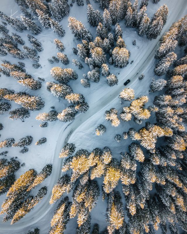 Дорога домойphoto preview