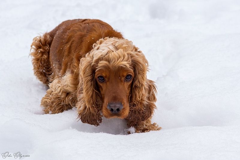 Кто ты?photo preview