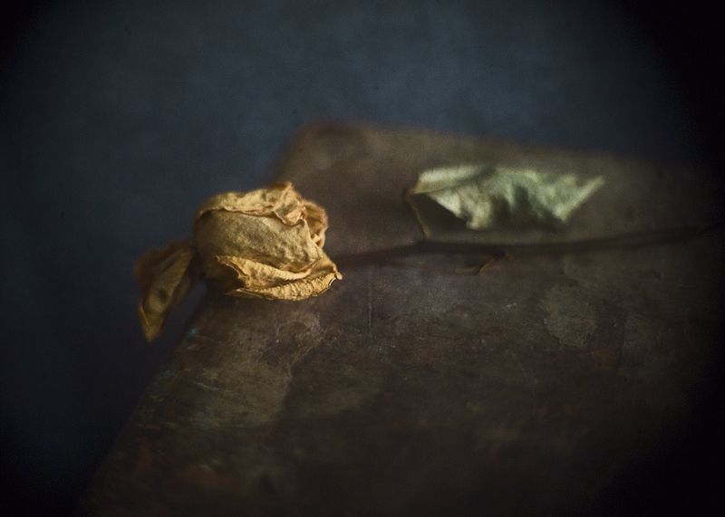 Нежная грусть...photo preview