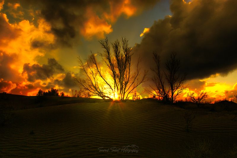 Golden Timephoto preview