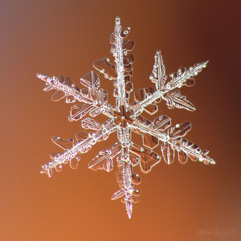 снег, снежинки, зима, мороз, супермакро Снежинкиphoto preview