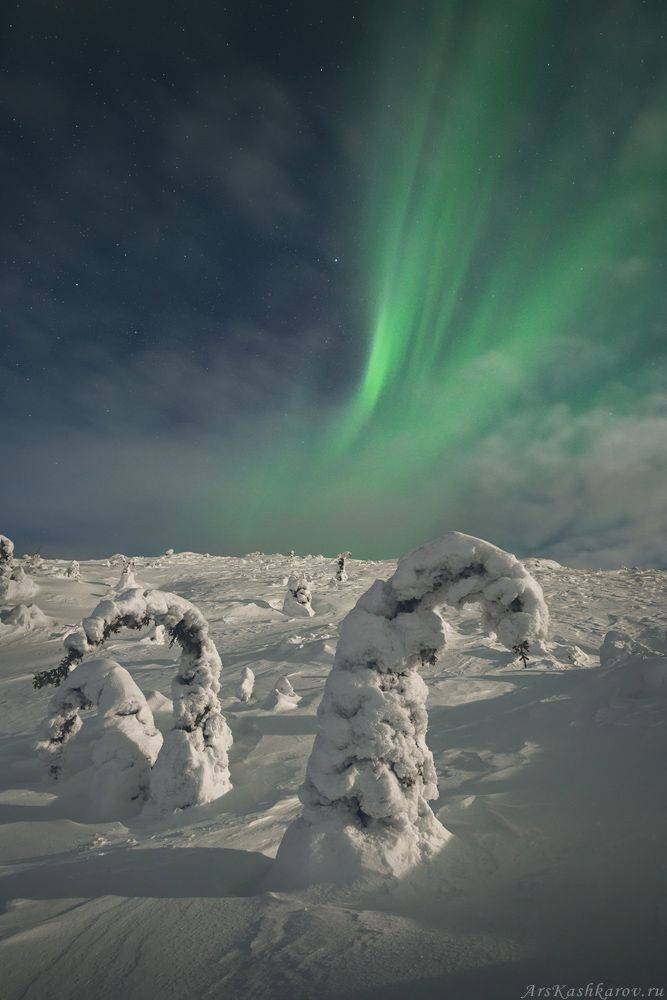 "Снежные креветки". Автор: Арсений Кашкаров кандалакша, кольский полуостров, северное сияние, север, зимний пейзаж, ночное фото, Арсений Кашкаров